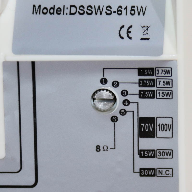 DSS DSSWS-615W настенный оповещатель 30 Вт,  6''+1.5''